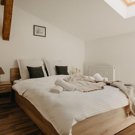 Holiday Apartments Central Timisoara Bagian luar foto